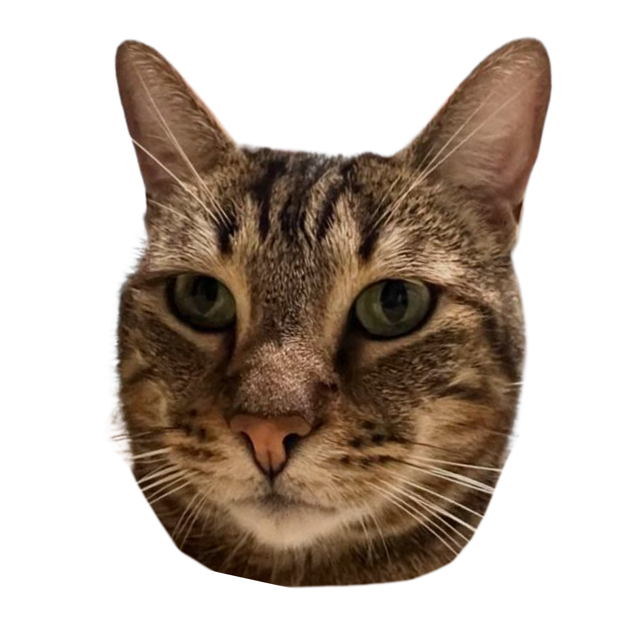 michi
