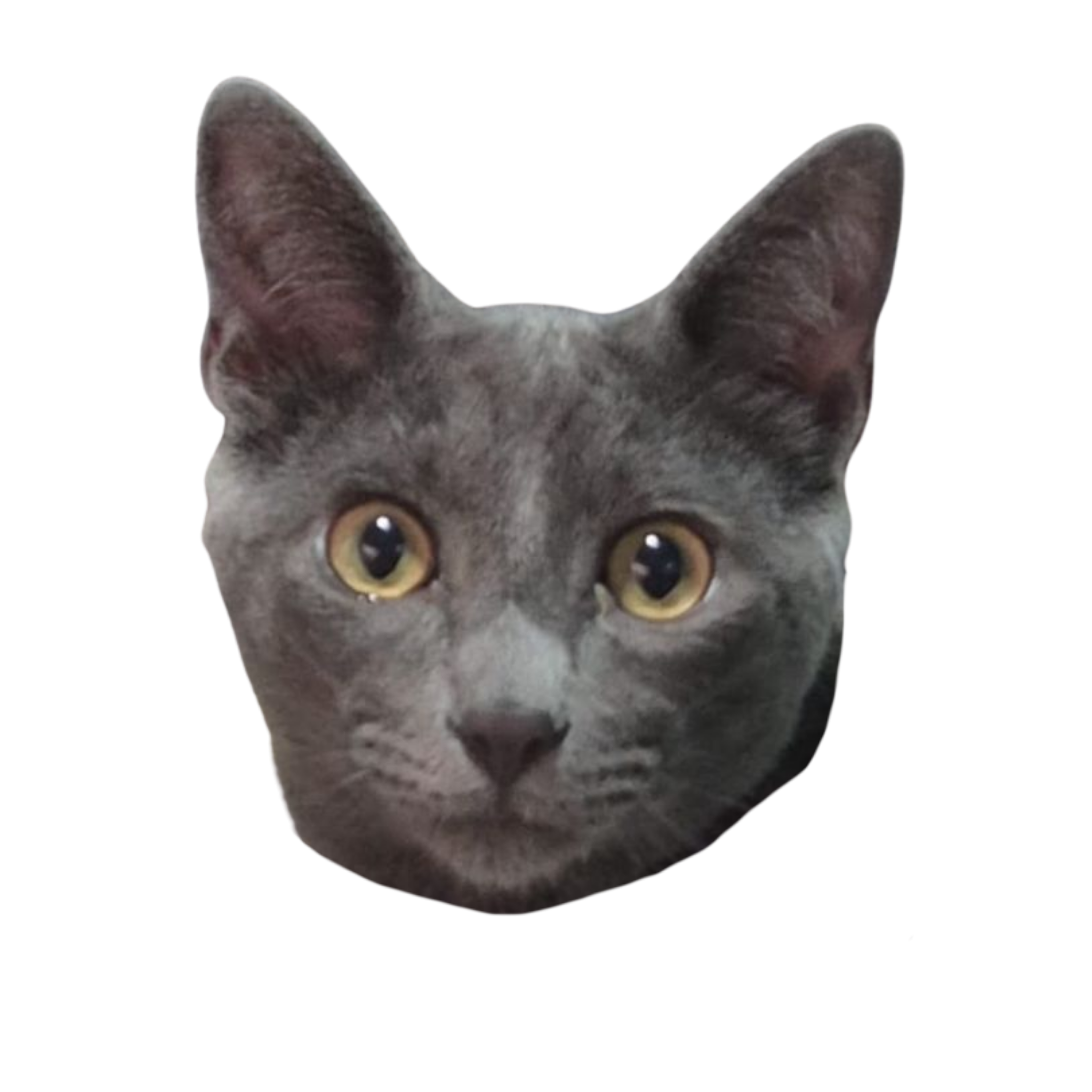 michi